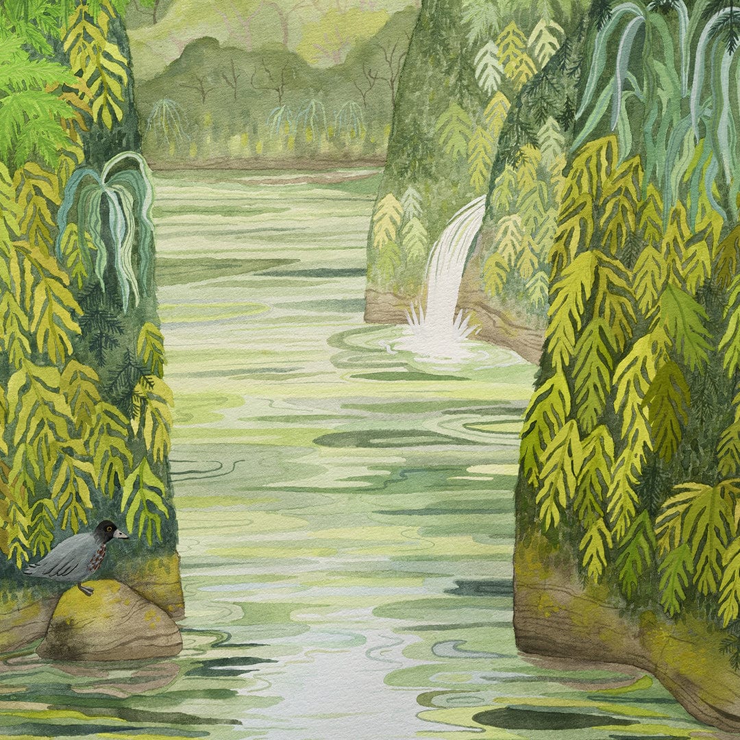 Whio on the Whanganui River Art Print by Emma Huia Lovegrove