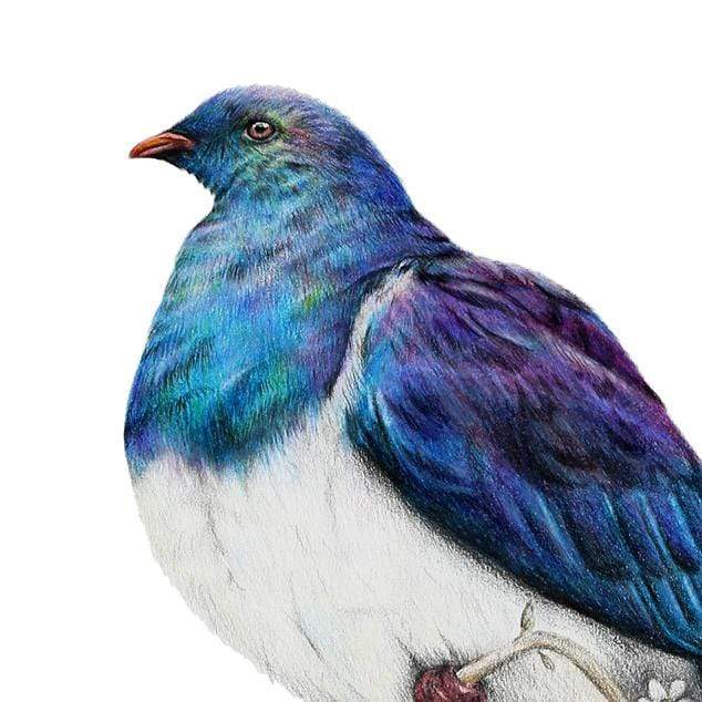 Wood Pigeon Art Print by Olivia Bezett
