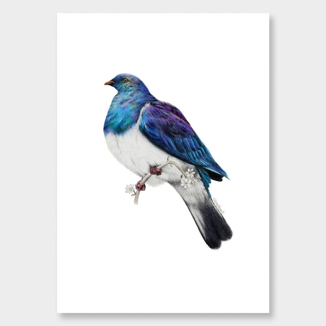 Wood Pigeon Art Print by Olivia Bezett