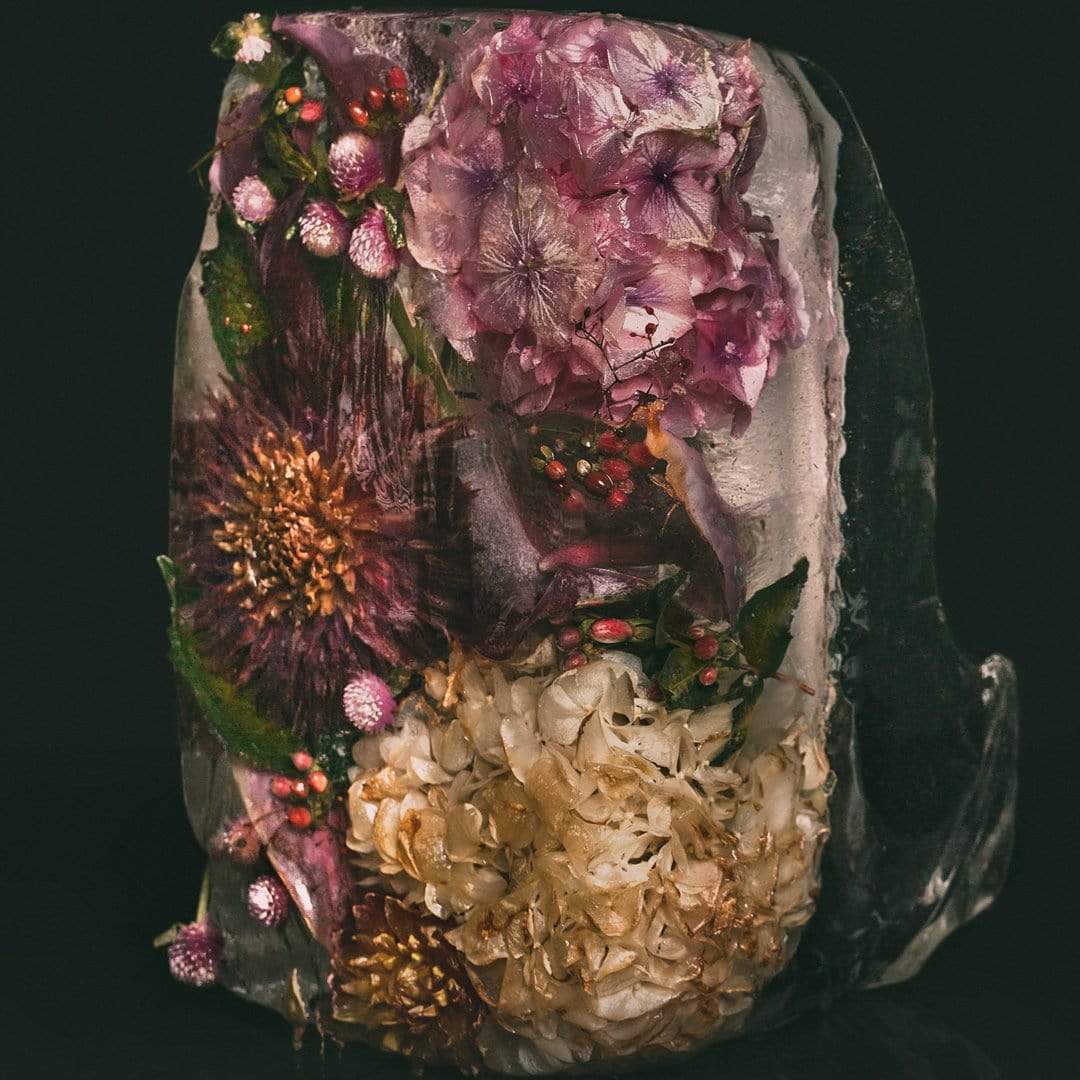 Ice Flower XXVI Photographic Print by Maegan McDowell